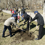 Хозяева леса. Школьники посадили более 5 тыс. деревьев в Тамбовской области