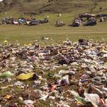 Экологическое здоровье. Медведев призвал модернизировать переработку отходов