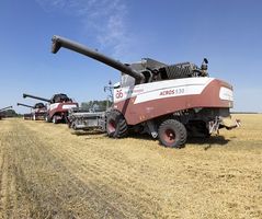 Температурные рекорды. Эксперты прогнозируют снижение урожая зерновых в Ставропольском крае