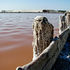Розовая соль крымского озера