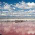Розовая соль крымского озера