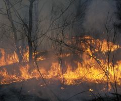 Ужесточают контроль. В Кировской области ожидается напряженный пожароопасный сезон