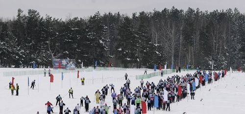 Резерв здоровья. Власти Рязанской области пообещали развивать массовый спорт